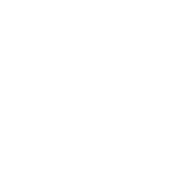 Electric